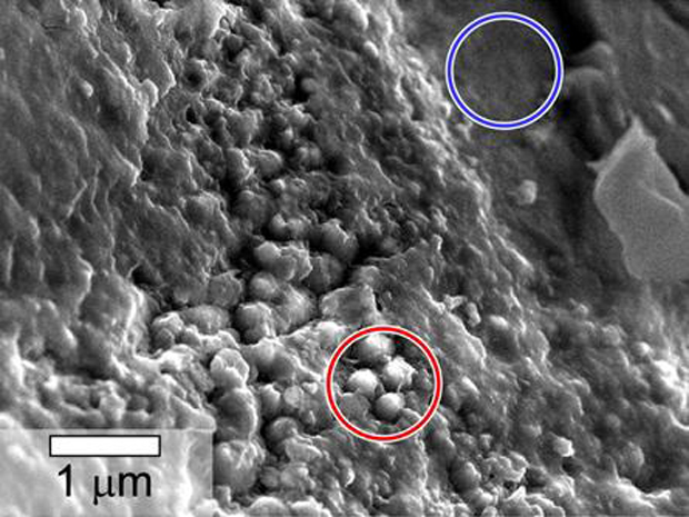 Mars Meteorite with Odd 'Tunnels' & 'Spheres' Revives Debate Over Ancient Martian Life